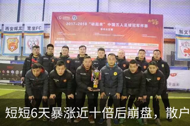 短短6天暴涨近十倍后崩盘，散户高位接盘损失惨重
